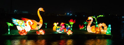Chinese Lantern Display