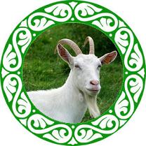 2015 Year of Goat